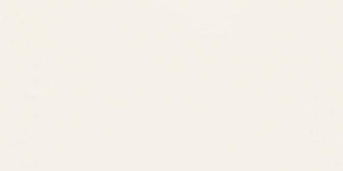 Płytki ścienne Burano White 30,8 x 60,8 cm Domino