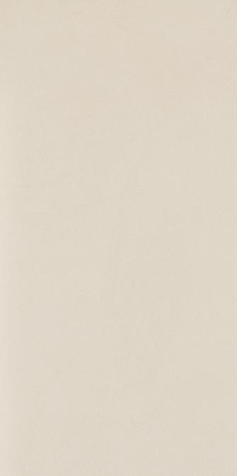 Paradyż Płytka Podłogowa Intero Bianco 29,8x59,8