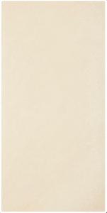 Płytka Podłogowa Arkesia Bianco Gres Poler 29,8x59,8 