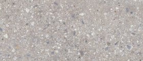 Płytka Gresowa Ceppo Nuovo Silver Poler 119,7x279,7
