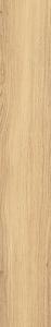 Płytka Gresowa Mountain Ash Gold 119,8x19