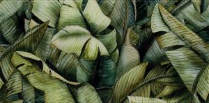 Inserto Uniwersalne Szklane Natura Leaf A 30x60